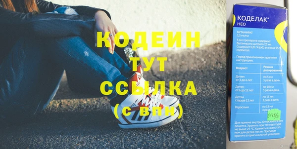 гашик Алексин
