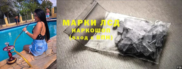гашик Алексин
