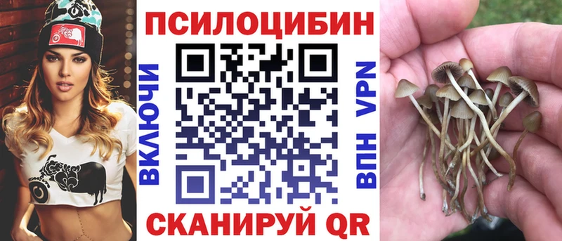 дарк нет официальный сайт  Среднеколымск  Псилоцибиновые грибы мицелий 